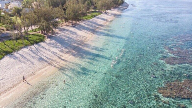A beach with clear shallow waters, a sandy shore, and a line of trees. - Sunset - Front de mer (Trois-Bassins)