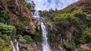 Une cascade se déversant le long d’une falaise rocheuse, entourée d’une végétation luxuriante.