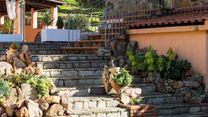 A stone staircase with potted plants and a metal railing. - Vacation home Cartuceddu 3b - Marina di Tertenia (TERTENIA)