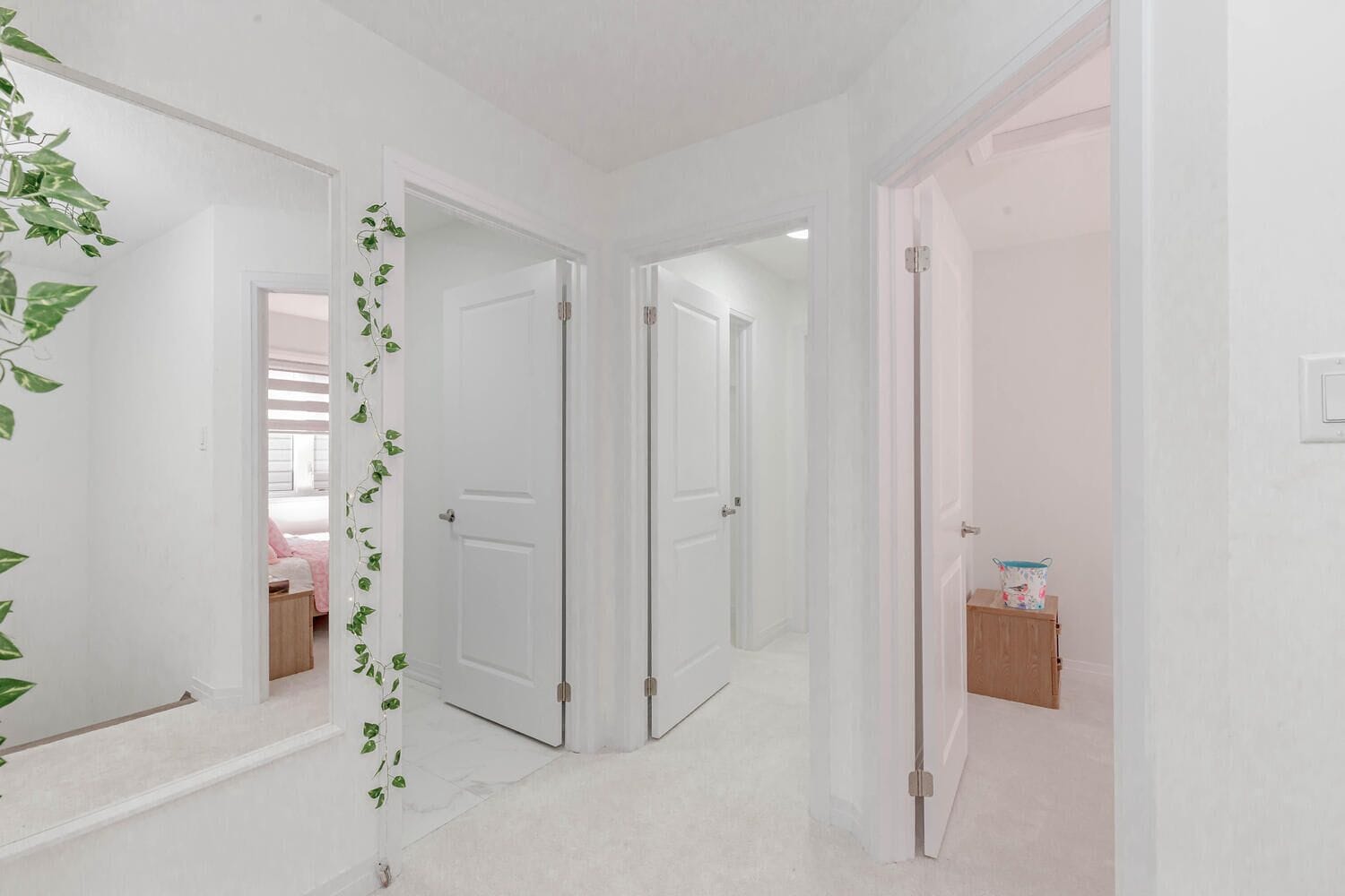A hallway with white walls and doors leading to bedrooms. There is a plant with green leaves on the left wall.