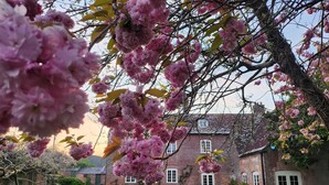 A brick building with a garden and outdoor seating area. - Eclectic Dorset Country House, Hot Tub, Pool Table, Movie Room,12 guests & pets (Mapperton)