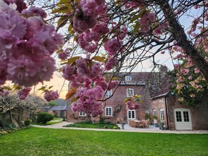 Exterior - Eclectic Dorset Country House, Hot Tub, Pool Table, Movie Room,12 guests & pets (Mapperton)