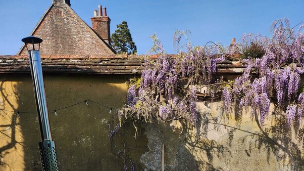 A wooden hot tub with steps, surrounded by gravel, with a bench and purple wisteria in the background. - Eclectic Dorset Country House, Hot Tub, Pool Table, Movie Room,12 guests & pets (Mapperton)