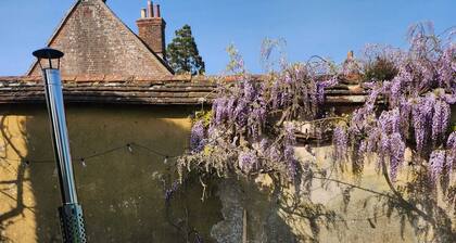 Eclectic Dorset Country House, Hot Tub, Pool Table, Movie Room,12 guests & pets