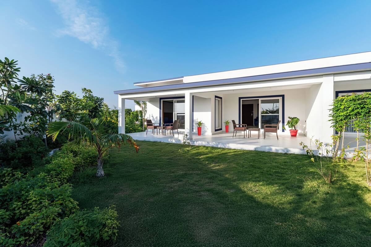 A modern house with a covered patio, a lawn, and various plants.