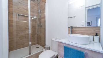 Shower, hair dryer, bidet, towels