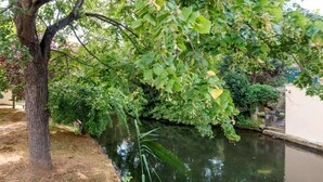 A serene garden with a pond, lush greenery, and a tree.