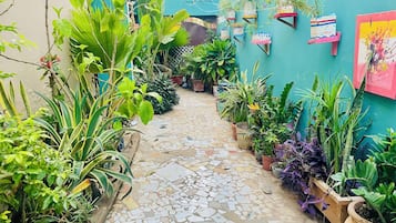 Economy Room, Garden View | Garden view