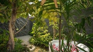 A serene garden with a stone wall, lush greenery, and a bathtub filled with rose petals.