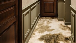 Apartment | Interior