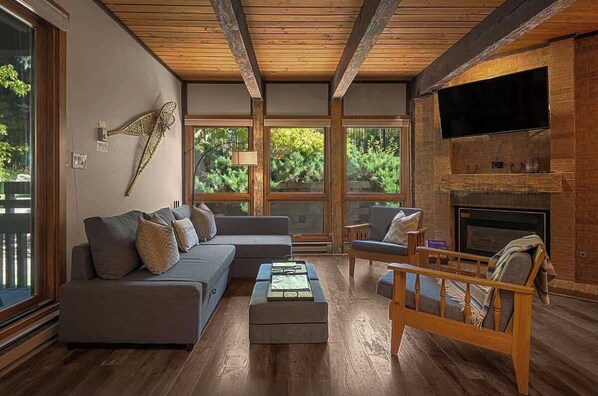 Televisión, chimenea