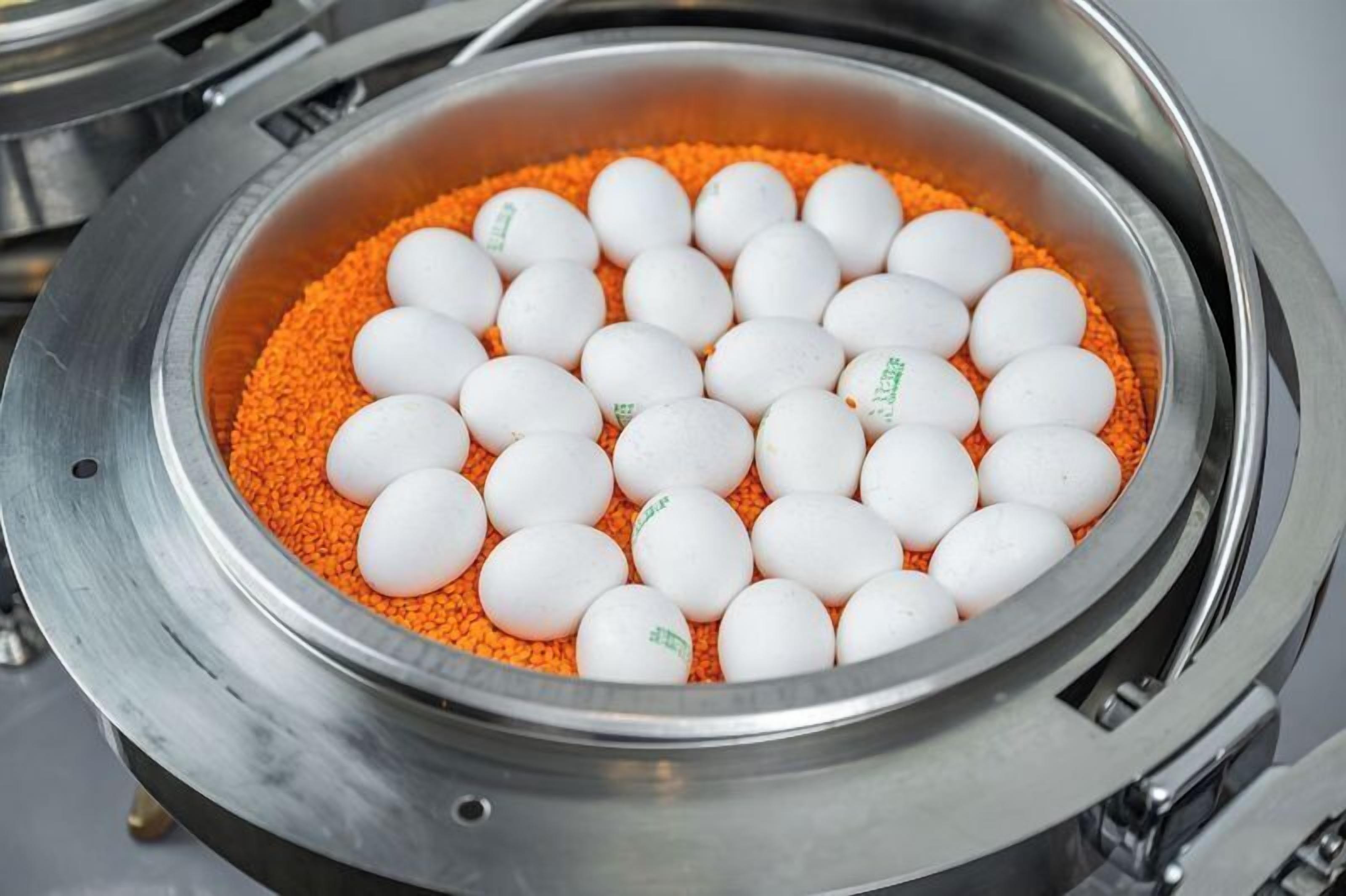 Une structure métallique circulaire contenant une couche de granulés orange et de nombreuses sphères blanches à l’intérieur.