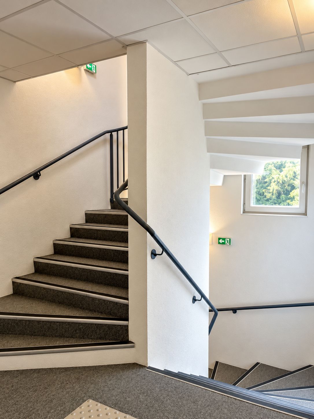 A staircase with a handrail, carpeted steps, and a window with a view of trees.
