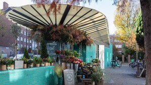 A storefront with a variety of plants and flowers displayed outside, a sign for pre-orders, and bicycles parked nearby. - Colville Terrace IV by Onefinestay (London)