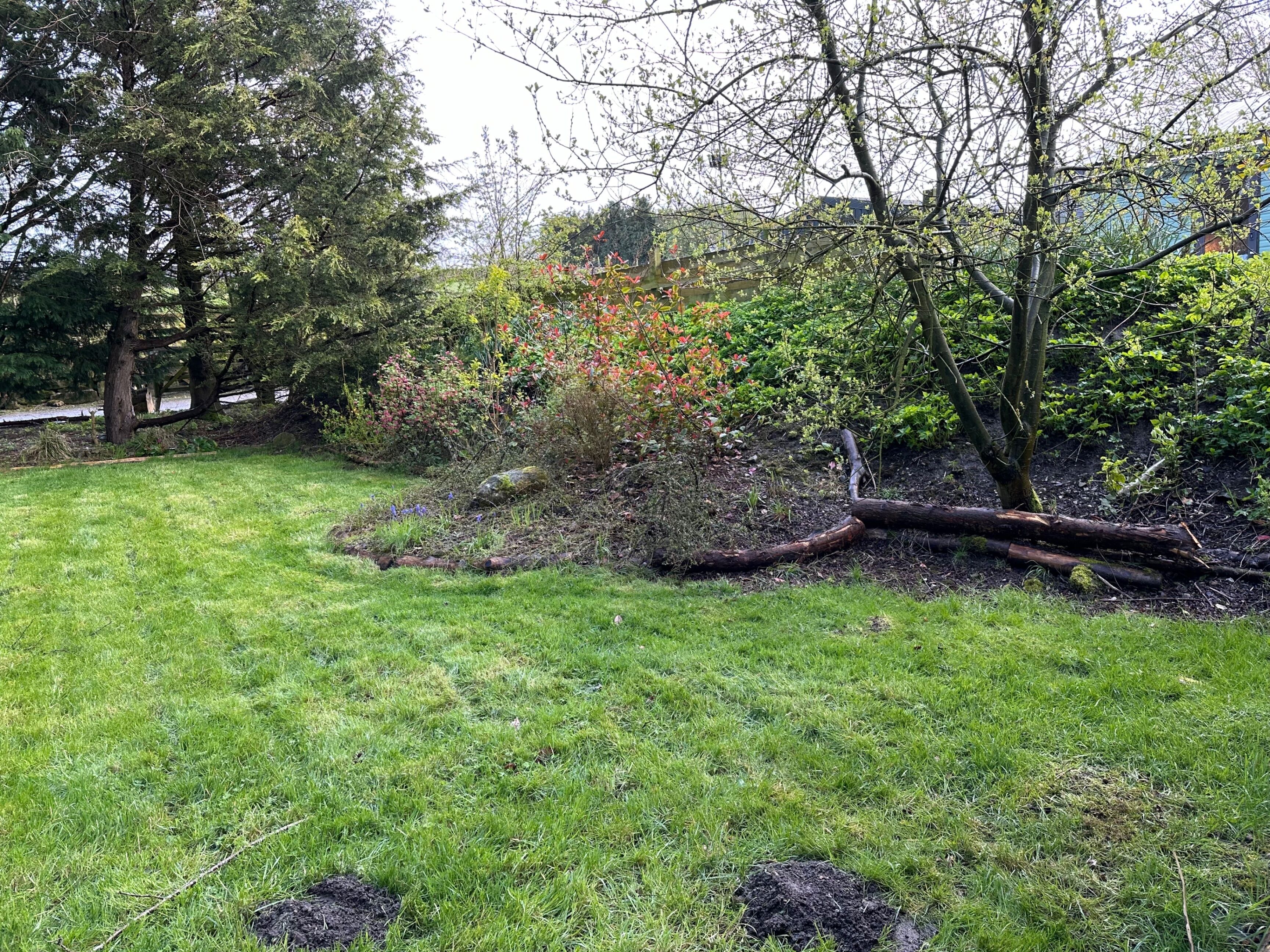 A well-maintained garden with a variety of trees and shrubs, a grassy lawn, and a fallen tree trunk.