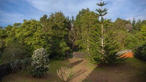 Un jardín con varios árboles y arbustos, un muro de piedra y un cielo despejado.