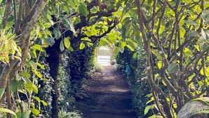 A pathway surrounded by lush greenery and large rocks, leading to a structure in the distance. - QUINTA DAS BOLAS by Azores HomeMade (Ponta Delgada)