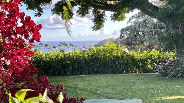 A well-maintained garden with a variety of plants and a view of the ocean. - QUINTA DAS BOLAS by Azores HomeMade (Ponta Delgada)