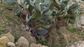 Villa | 3 Schlafzimmer