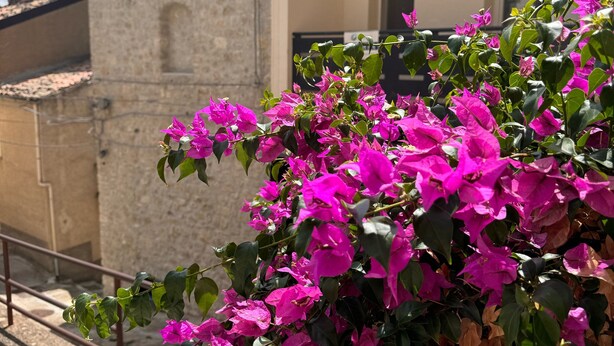 A building with a stone facade and a balcony with vibrant pink bougainvillea flowers. - Le Camere dell'Emiro 2 (Castronuovo di Sicilia)