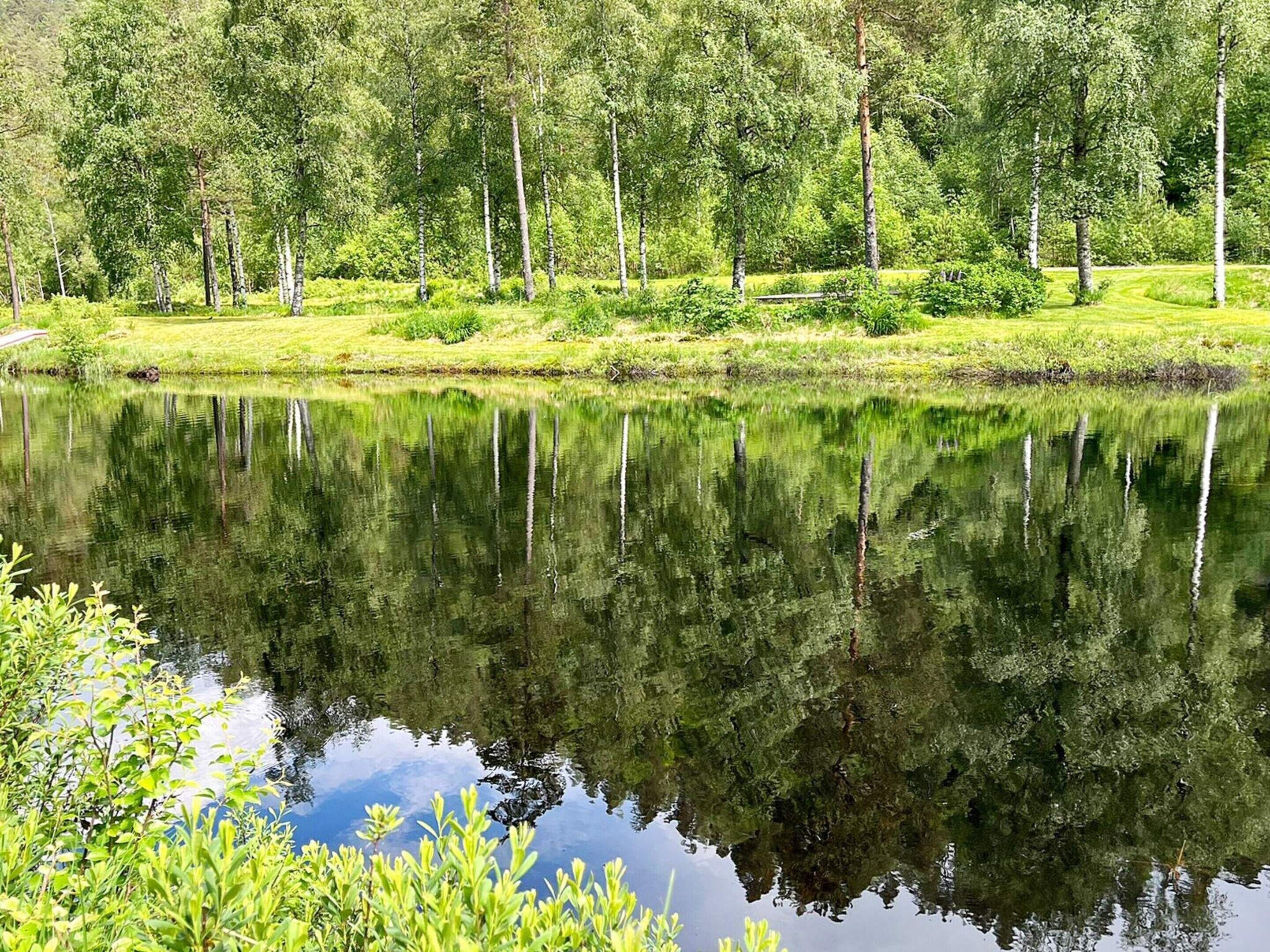A calm lake surrounded by lush greenery and trees.