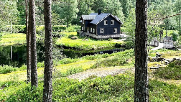 Eine dunkel gefärbte Hütte mit einer Terrasse, umgeben von üppiger Vegetation und einem Teich.
