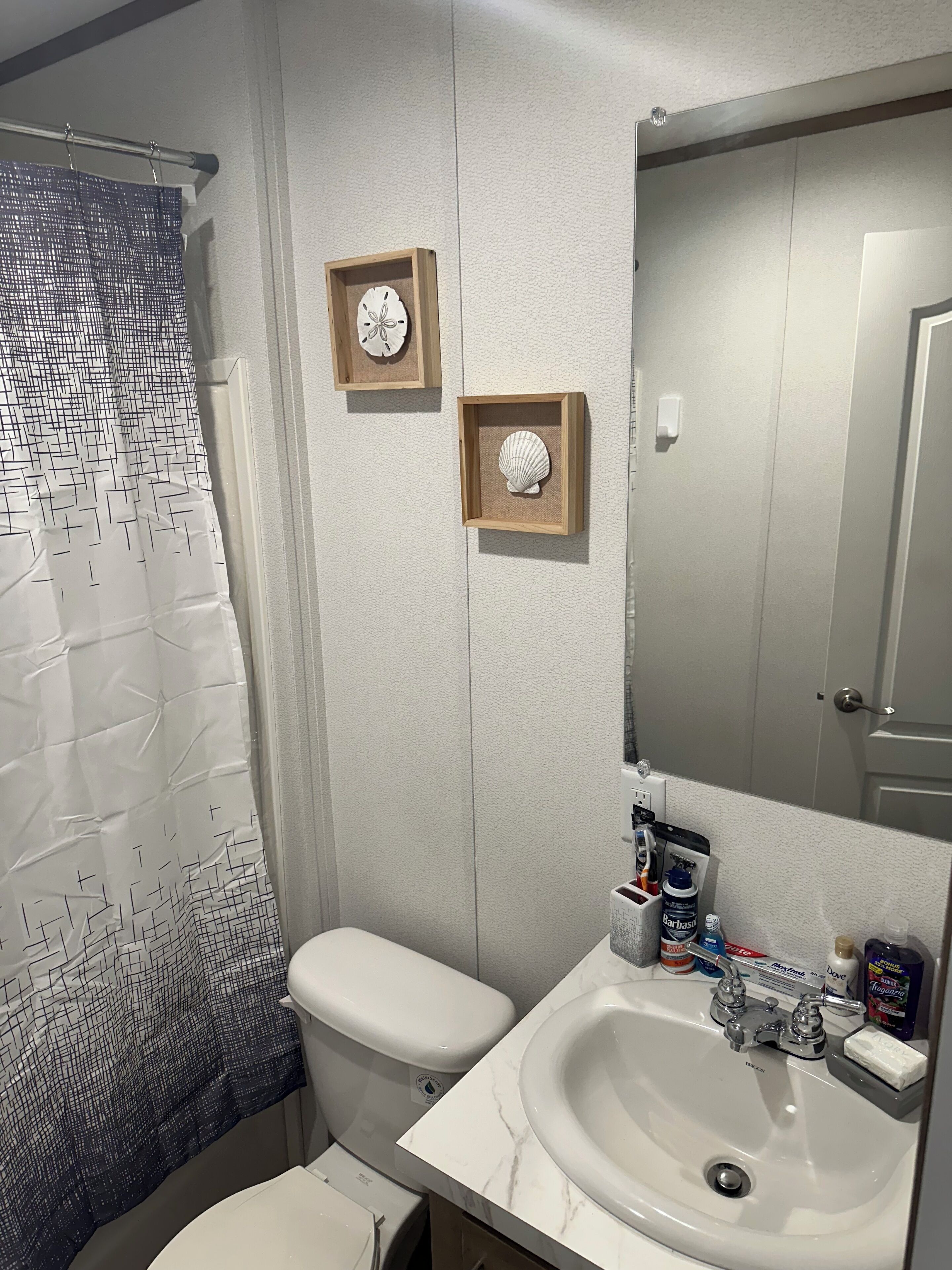 Hair dryer, towels, soap, toilet paper