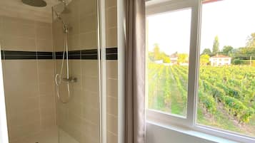 Shower, towels, toilet paper