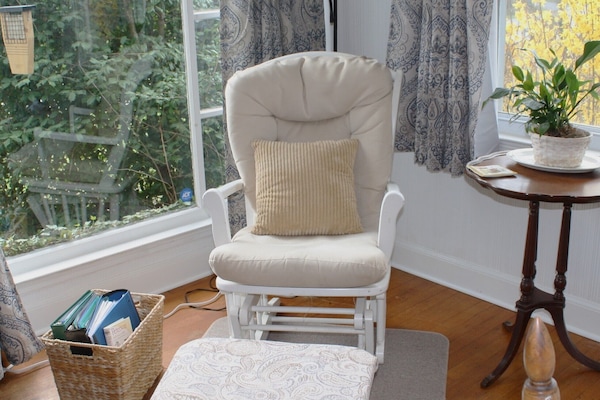 Smart TV, chimenea, reproductor de DVD, libros