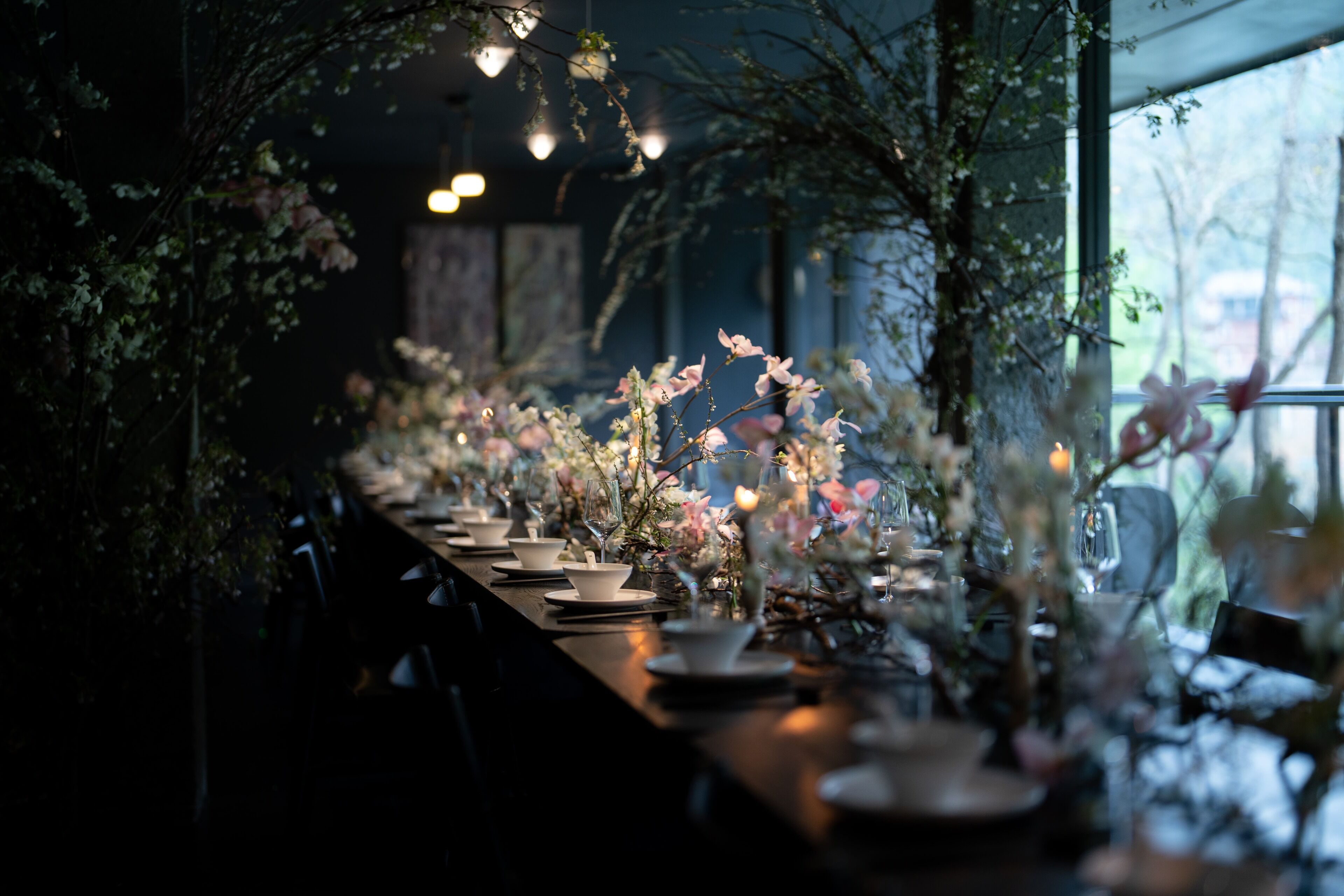 Outdoor wedding area
