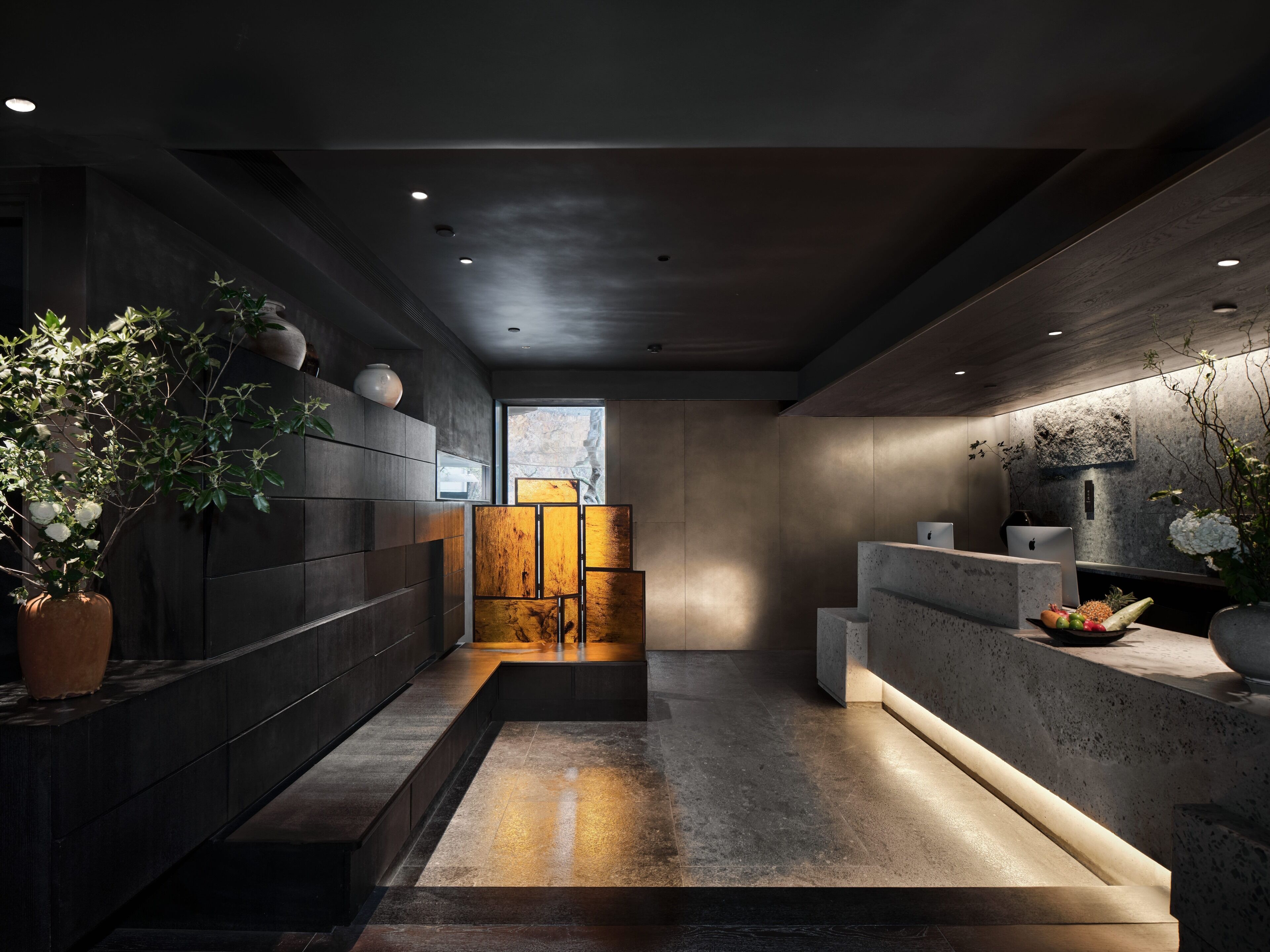 A modern interior with a dark-toned reception desk, a wooden accent wall, and a potted plant on the left.