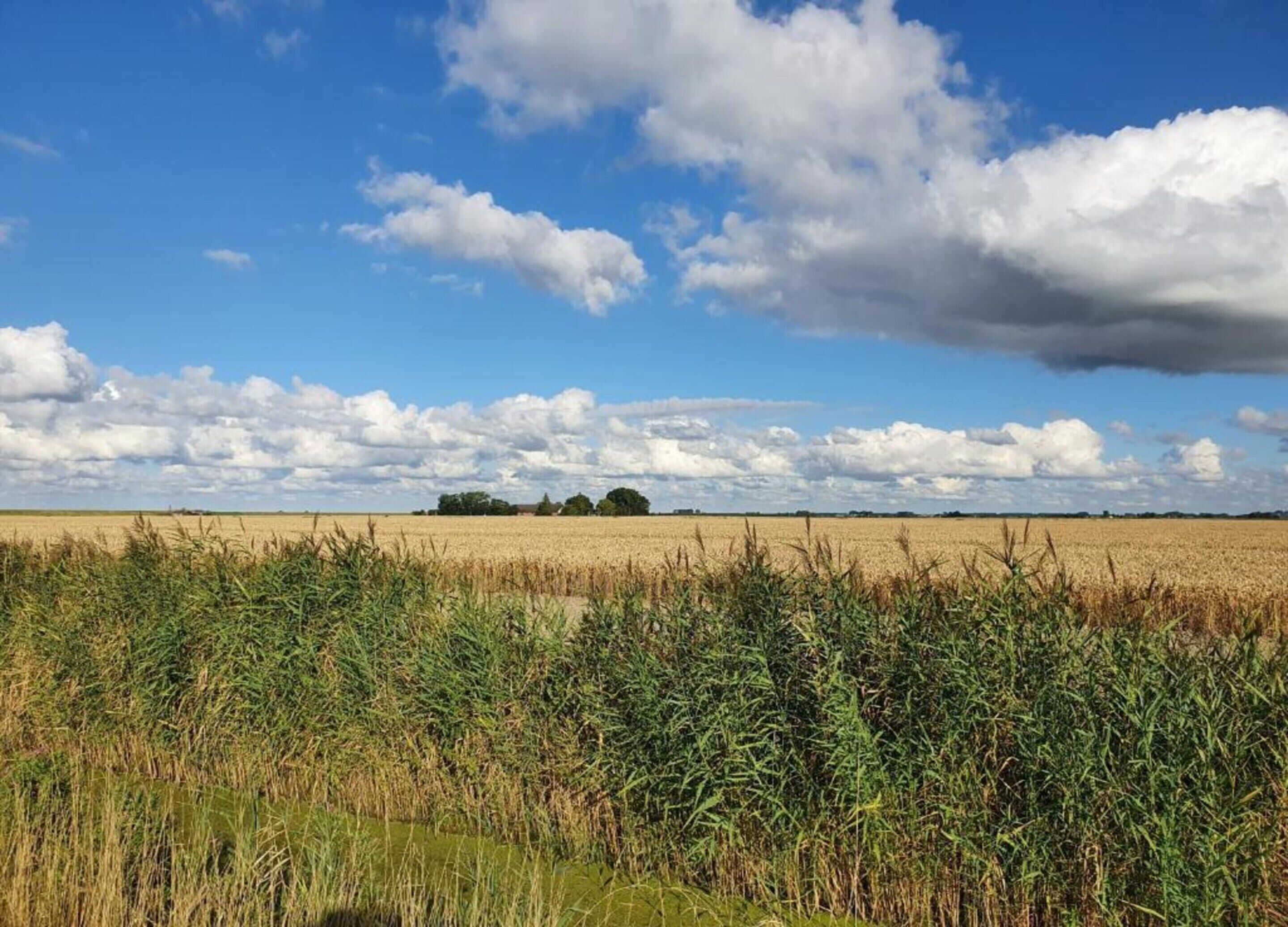 A wide-open field with a clear sky and scattered clouds.
