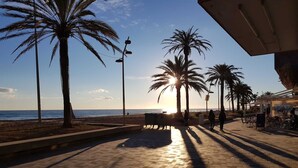 A paved walkway with palm trees and a beach in the background.