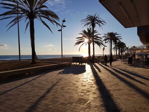 Un camino pavimentado con palmeras y una playa al fondo.