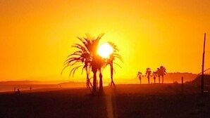 A sunset over a beach with palm trees silhouetted against the sky.