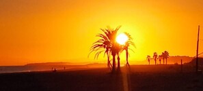 Un atardecer sobre una playa con palmeras silueteadas contra el cielo.
