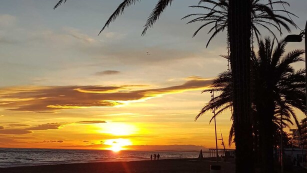 A sunset over a beach with palm trees and a few people in the distance. - Budha's apartment, relax & confort center Calafell (Calafell)