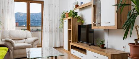 Televisión