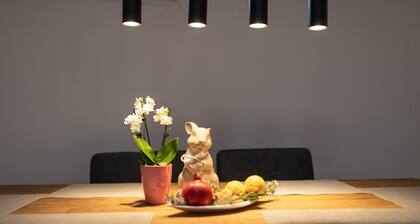 House Ponte in the old Part of Punat