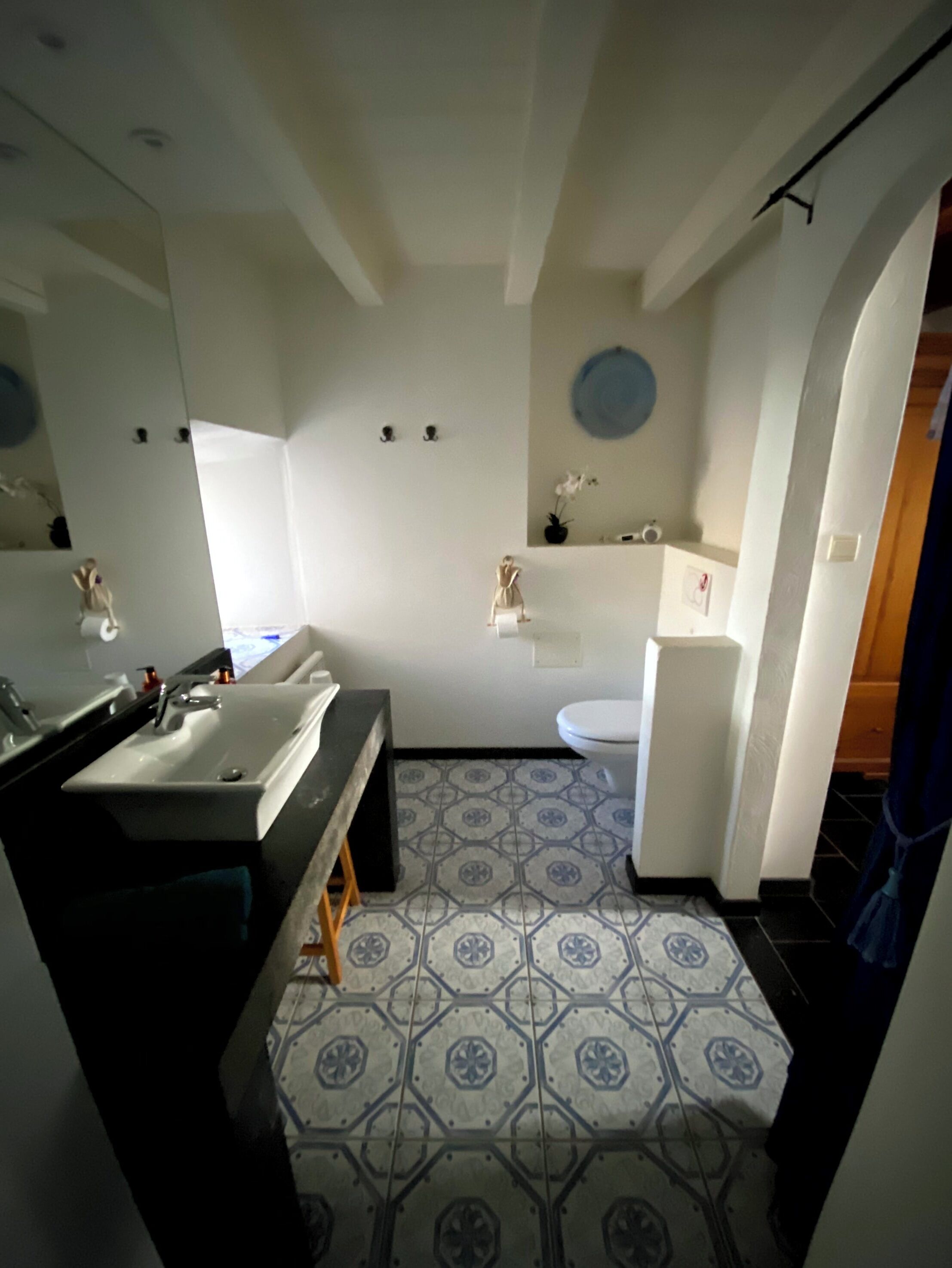 Une salle de bain avec un grand miroir, un lavabo, des toilettes et un espace douche.