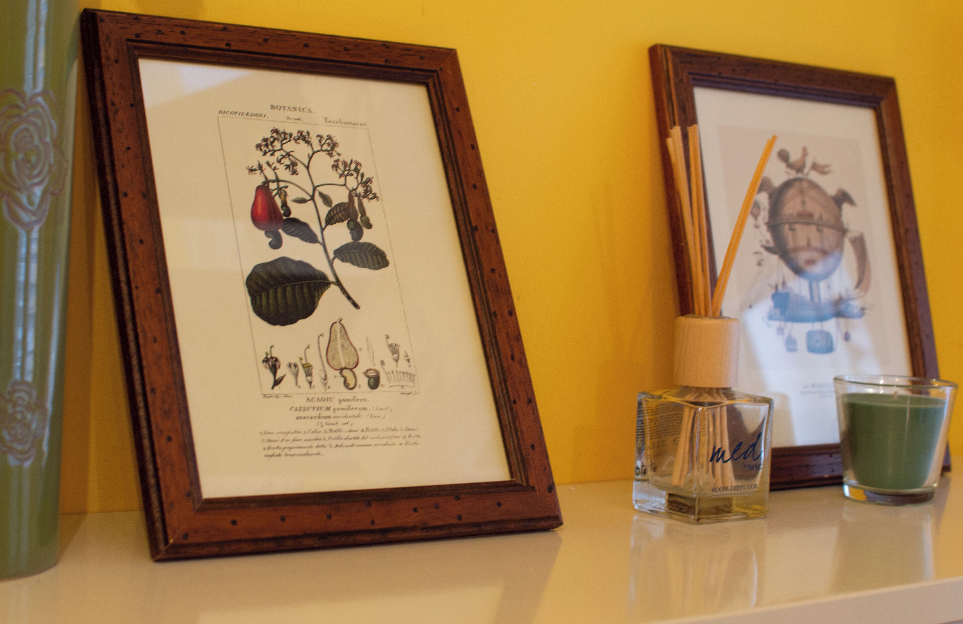 A framed botanical illustration and a framed artwork on a shelf.