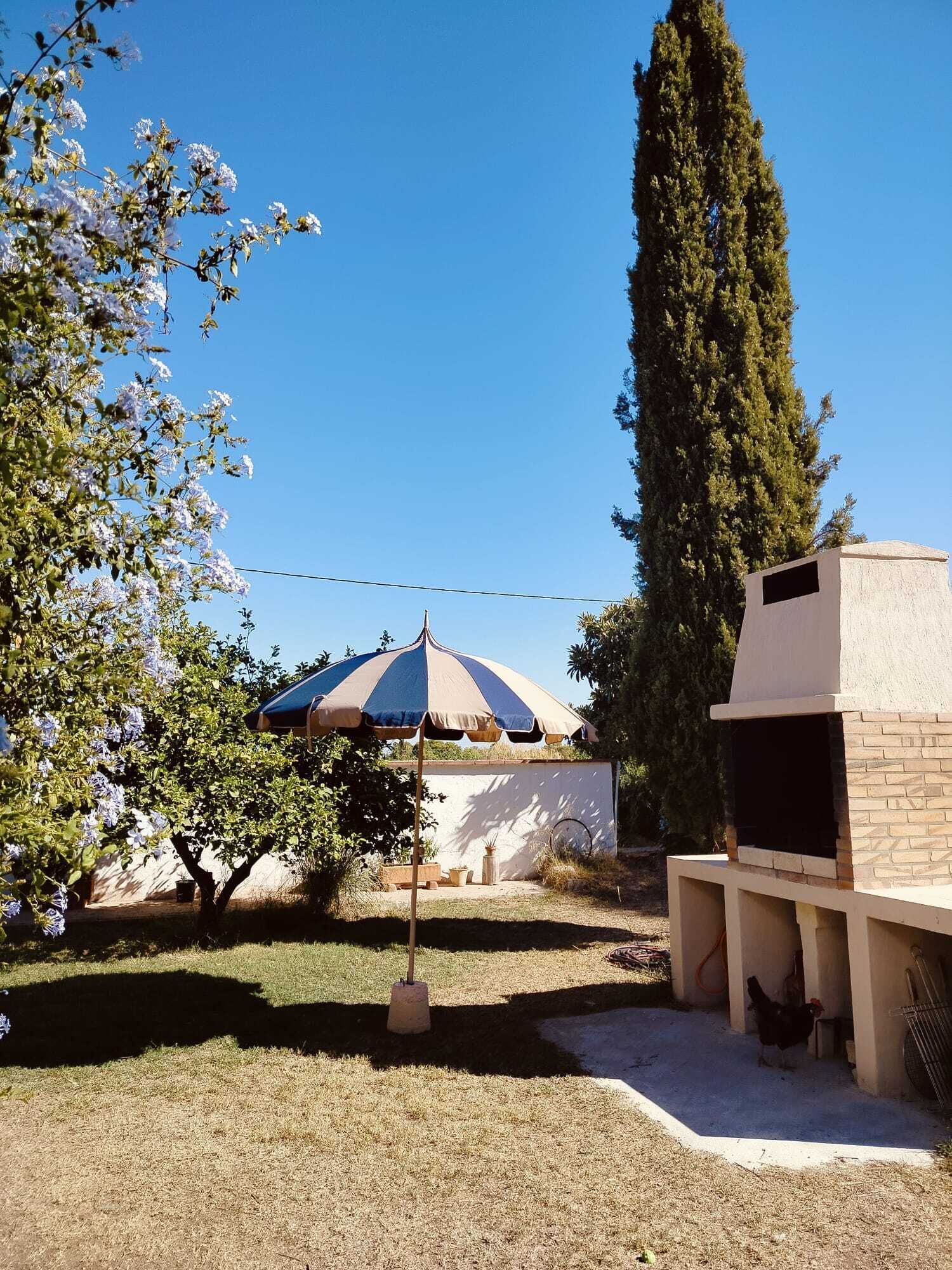 A backyard with a barbecue grill, a tree, and a patio umbrella.