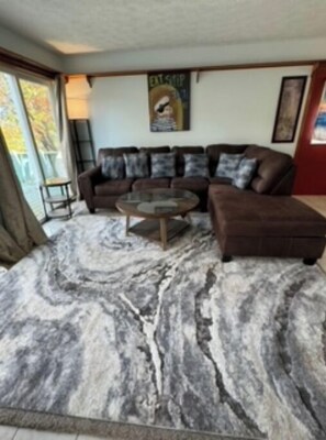 Smart TV, books - TaneyComo Lakehouse  (Hollister)