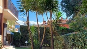 Il s’agit d’une propriété résidentielle dotée d’un chemin pavé, d’un petit jardin avec des palmiers et d’un bâtiment avec un balcon.