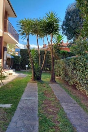 Property grounds - Villino Giuliana (Marina di Pietrasanta)