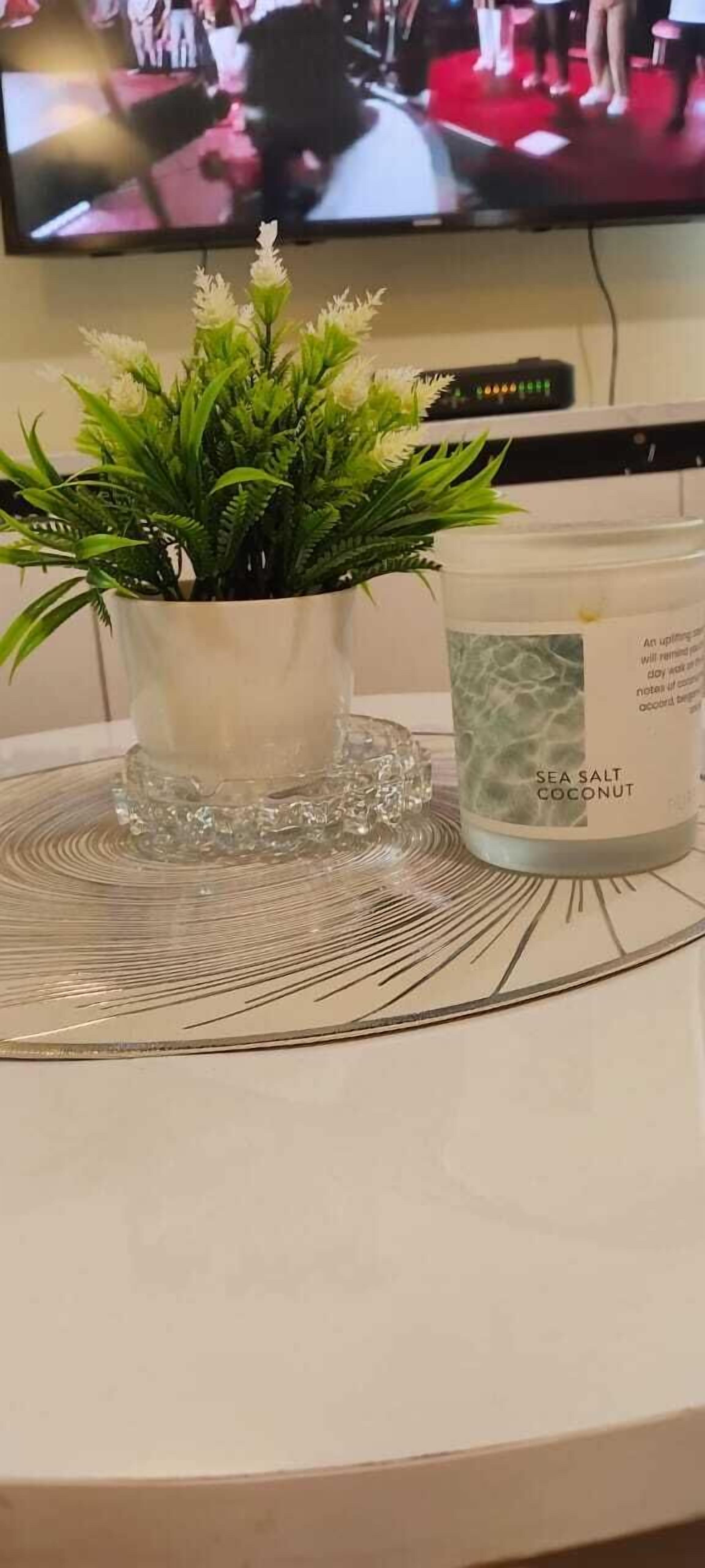 A potted plant, a glass candle holder, and a candle labeled "SEA SALT COCONUT" on a table.
