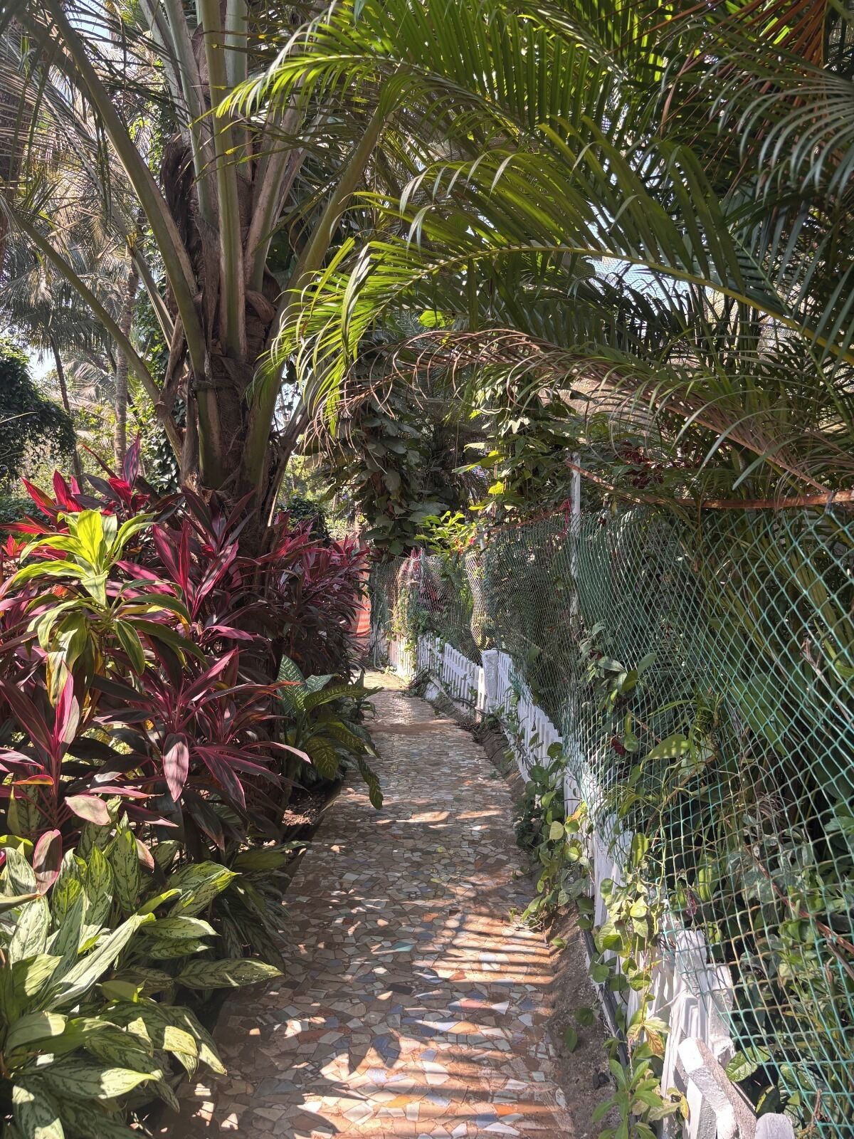 Un étroit sentier de pierre, bordé d’une végétation tropicale luxuriante et délimité par une clôture en treillis métallique.