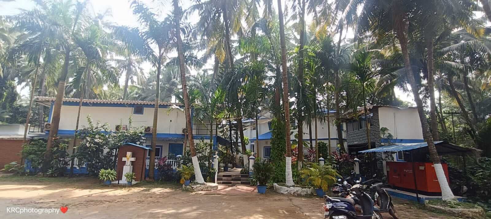 A building with a blue and white facade, surrounded by palm trees and potted plants.