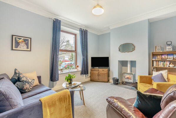 TV, fireplace, books