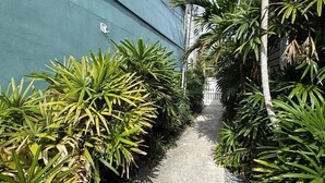 A narrow pathway flanked by lush green plants and a blue building facade.